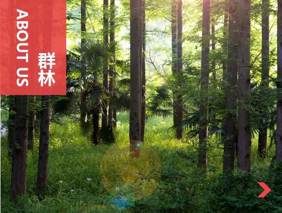 什么叫刨花板？